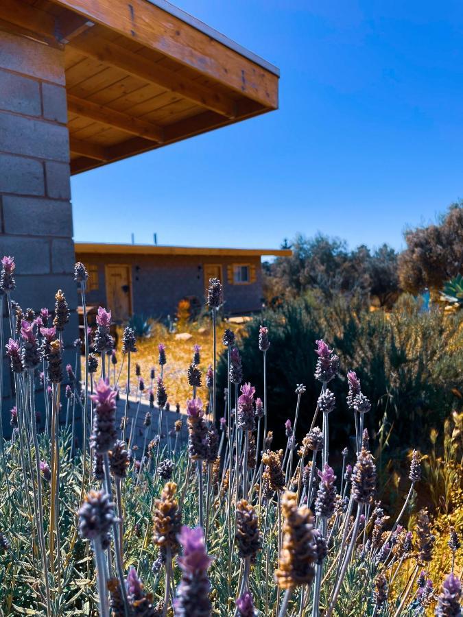 Sn Tony Hotel & Spa Villa de Juarez Eksteriør billede
