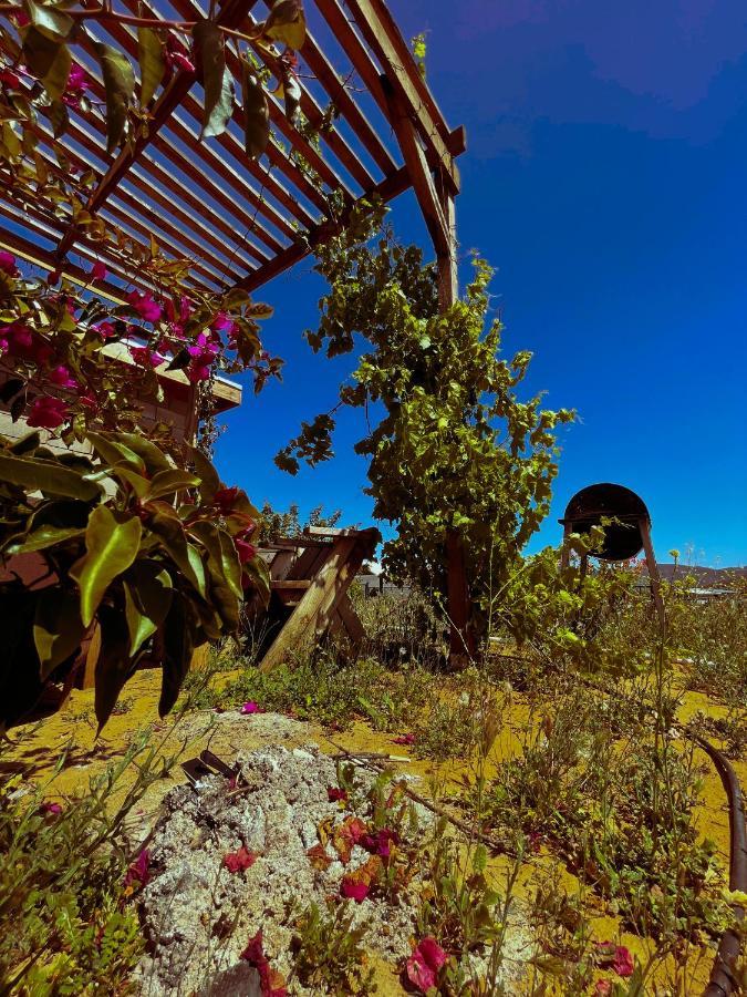 Sn Tony Hotel & Spa Villa de Juarez Eksteriør billede